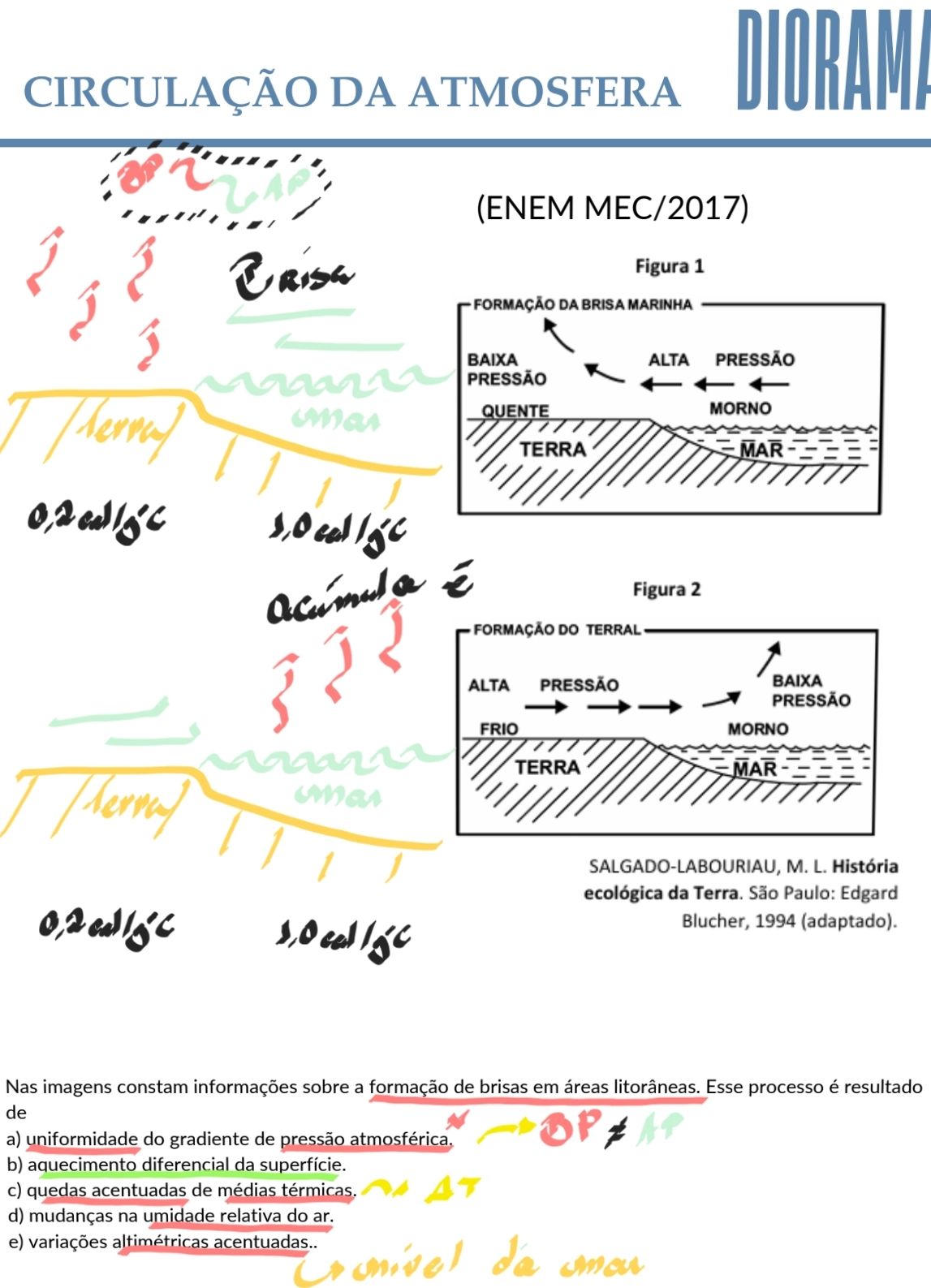 Digitalizado_20250131-1649